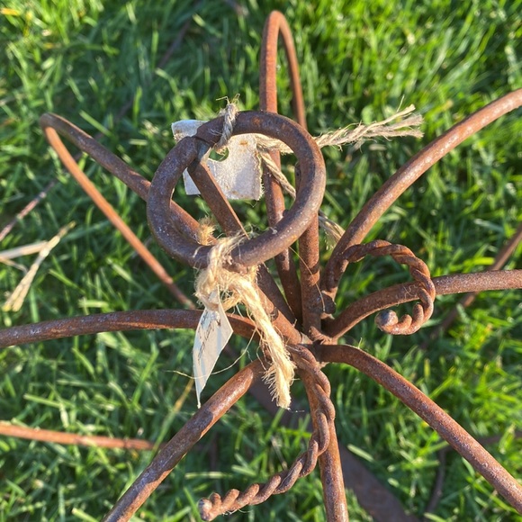 Rusty Wire Pumpkin - Picture 3 of 6